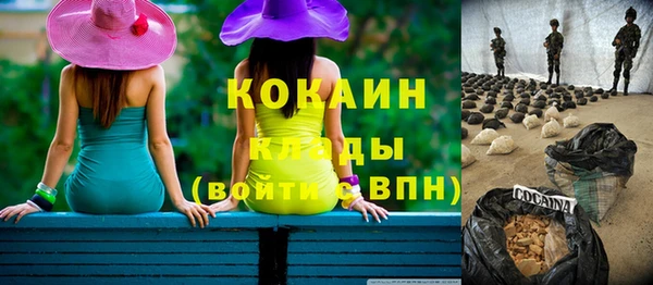 хмурый Инсар