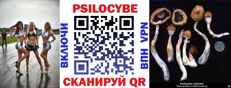 Псилоцибиновые грибы Magic Shrooms Ялта
